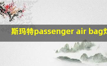 斯玛特passenger air bag灯亮